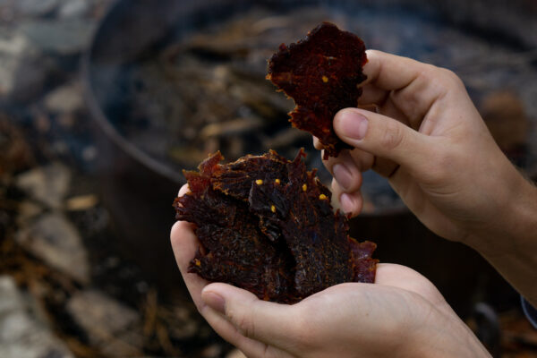 best beef jerky handful of jerky
